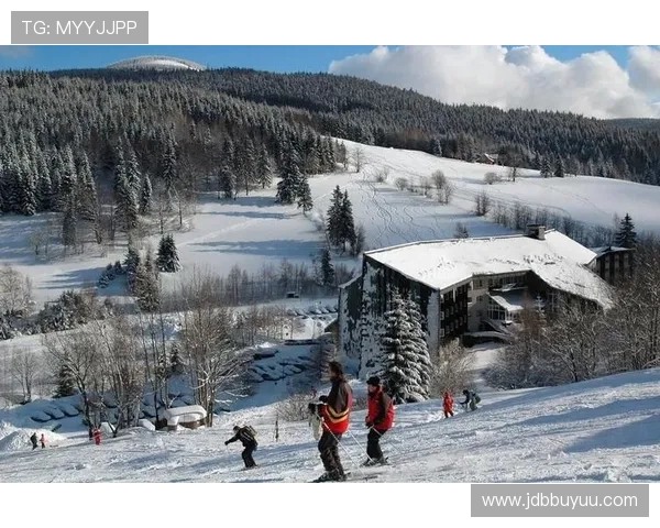 如何选择最适合你的捷克娱乐登陆平台？